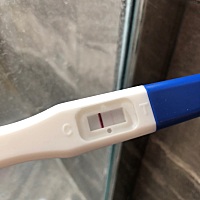 这是怀了吗