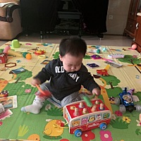 小子的出生得尽了家里人的宠爱。         小子拉了几天，但精神状态比较好，就是有时比较燥，我们以为他...