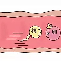 有越来越多的备孕女性遇到输卵管堵塞的问题，卵管堵塞或者通而不畅是女性不孕的主要原因之一，约占女性...