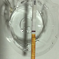 我只想知道会不会炸胡…例假都推迟八天了还不明显哦……太忐忑不安了