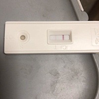 4.5号来的月经，4.29和4.30测的都是2条线，不是特别明显，不知道真的假的，卧床休息中，5.1哪里也不敢去...