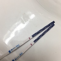 4月2日来的月经。