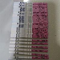 颜色变浅了！1号晚上九点左右排卵了，30—2号连着安排三天，然后静等好孕接好孕接好孕！！！！！