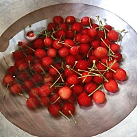 婆婆不去打麻将了，每天都在家陪我，好开心！每次出去都会给我带吃的回来，今天是樱桃，真甜！