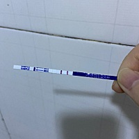 因有多囊卵巢综合征，4月11医生开了地区孕酮片本来说是来例假再去检查。连续吃了两周4月27吃完，还没来...
