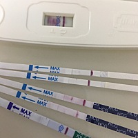 都是昨晚和今晚测的，两杠，很浅很浅的，大卫也是今晚测的，但大卫只有一杠。我是4.2月经，4.18排卵期。...