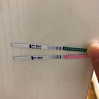 上面是早孕试纸，下面是排卵试纸，姨妈感很强烈，胸胀疼，