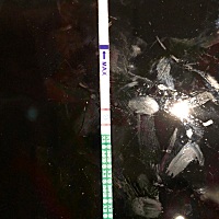 晚上刚测试的，末次月经3.30号，经期错后7天，这是确认怀孕了吗？明天大算早上再测测。