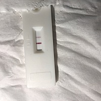 验孕棒一深一浅。同志们，是有了吗？