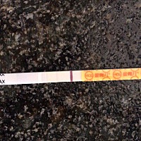 图1是5.1的。 图2是5.2的。 图3是5.3的，其中粉色是排卵试纸。 是不是可以去医院抽血了😂😂😂...