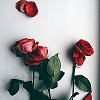 如此聪明的你，却在与幸福背道而驰。快点转弯吧！ #好为人师# 现在很多女人，特别是聪明能干的女人，容...