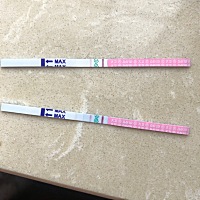 有没有帮忙看看 上面的是昨天  下面的刚刚测的 是不是快要排卵日了
