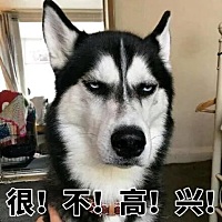 生好宝宝从医院回来第二天公公和婆婆从外地赶来上海照顾月子，我公公就要求我婆婆跟我睡一块，说是怕我...