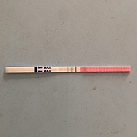 这是在排卵吗？这是排卵了吗？第一次测不懂