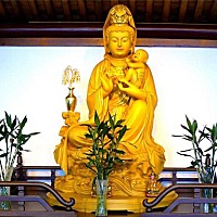 备孕两个月希望这个月能如我所愿 好孕来👼离姨妈日还有三天，今天大卫试了就还是一道红