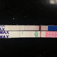 绒促第九天排卵试纸和早早孕都白板