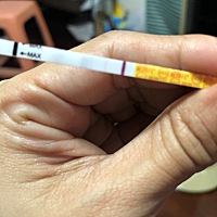 4.24排卵，这样有怀孕吗？