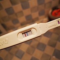26号排卵，备孕二胎，老大九岁男孩，想来个小棉袄，本来想要个属牛的，一个月没避孕，不会是有了吧？？