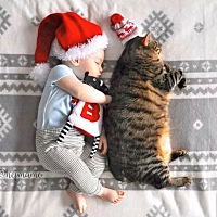 有没有追奶成功的宝妈吗 看着人家的奶跟水龙头似的真是深深的挫败感 网上卖的下奶茶想买朋友说不好 最近...