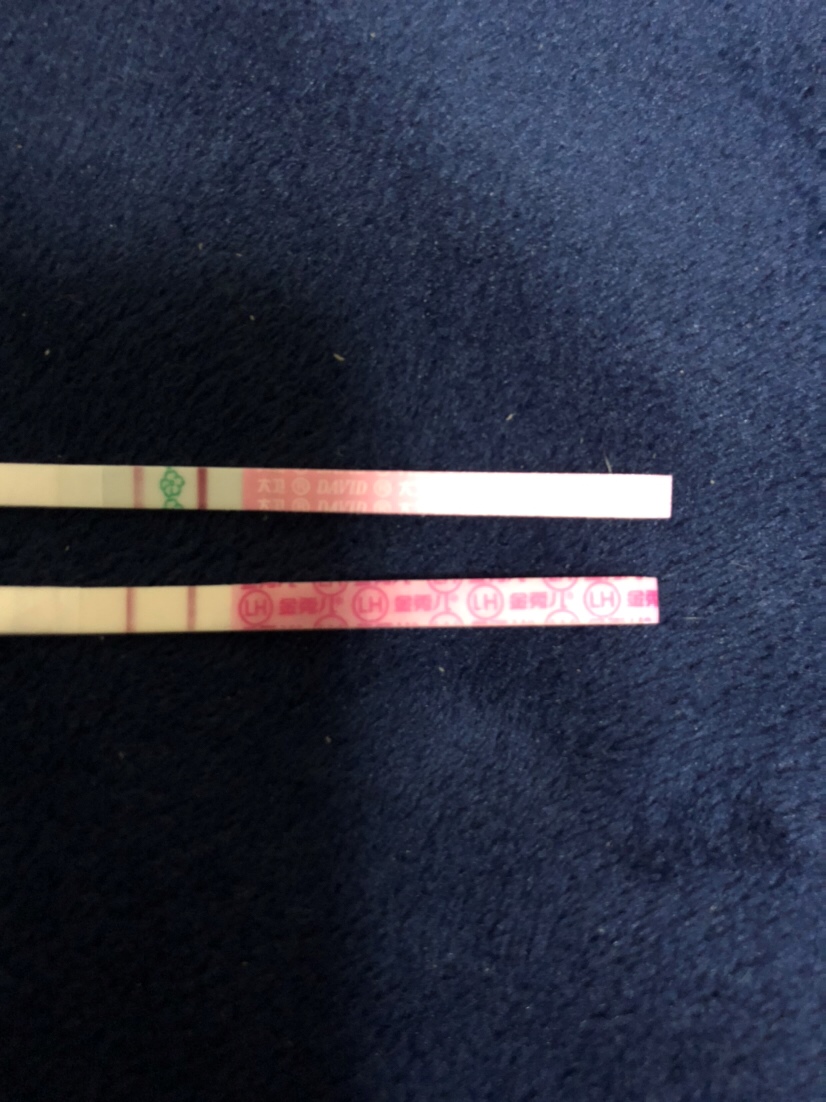 今天月经推迟一天，排卵试纸这个颜色，有没有希望，早早孕白板，目前rf两侧有触碰疼，屁有点多，没有任何反应，有没有有经验的姐妹