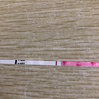 这是怀孕了吗，早上刚刚测的