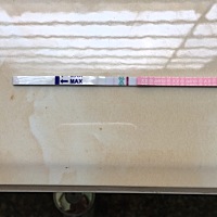第一次用大卫试纸测试排卵，麻烦各位小姐姐给点建议，接下来该怎么做