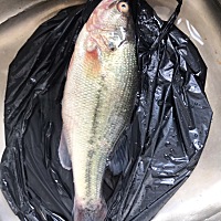 少称还理直气壮凶巴巴的，让她重新称的确是少了，她还说是正常的，还是不赔钱，说我这人真是的还要去称...