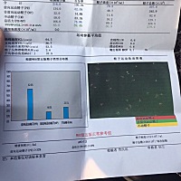 老公检查的结果、这个有问题吗？