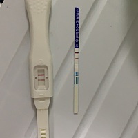 早上测了中奖了 按耐不住激动的去医院抽血确认 真的是最好的母亲节礼物🎁