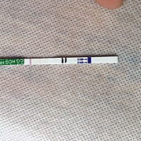 末次月经4月16号，今早测的，一深一浅，怀孕了？备孕一个月就怀孕了，姐妹们接好运吧