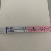 软件显示我是这个月13号排卵，今天开始测排卵，这是今天测的，不知道排卵时间准不准，第一次用这个试纸...