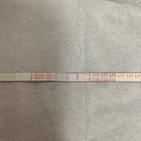 请问这是排卵了吗？我也看不懂，