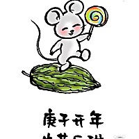 各位准妈妈们，有什么好的宝宝保险推荐吗？