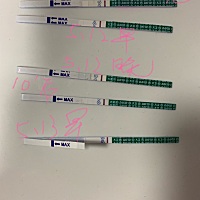 这是什么情况，有点蒙。排卵试纸一直两道杠，就用了早孕试纸，就这样，是不是试纸坏掉了