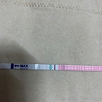 排卵后12天了，早上早孕试纸是阴性，排卵试纸却是弱阳性，这能说明怀孕吗