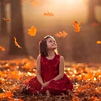 开满玫瑰花的眼睛 是你的眼睛 是我的眼睛 是我们相映的深心 ——廖志祥先生 学生家长：孙老师，我刚刚听...