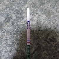 今天该来例假，早上测得，例假也没来，是怀孕了吧？