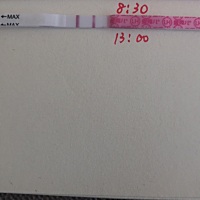 从早上到现在都是这个样