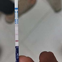 我跟老公结婚有1年了一直在备孕但是，都没有怀，家里人挺着急的，特别是我婆婆和我妈，我老公也挺急的因...