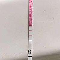 今天特意去参拜南海观音了，希望明年能回去还神，加油加油，心好累啊，为什么检查都没问题的，测了两个...