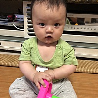 10个月的小猪猪。越来越精灵趣味。