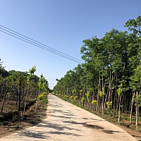 有了娃3个月，之前我在老家带着孩子，老公不在家，现在跟老公住一起了，关于晚上带娃，都说不要和老公分...