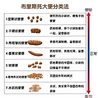 熟悉我们平台的家长都知道，孩子的喂养，最先要重视的就是消化，‘10秒判消化，3招助消化’的口诀大家耳...