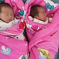 姐姐4.3斤  弟弟4.5斤 住了10天保温箱