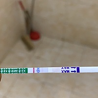 备孕半年没有怀上 就这个月去查了排卵 不知道是不是炸胡