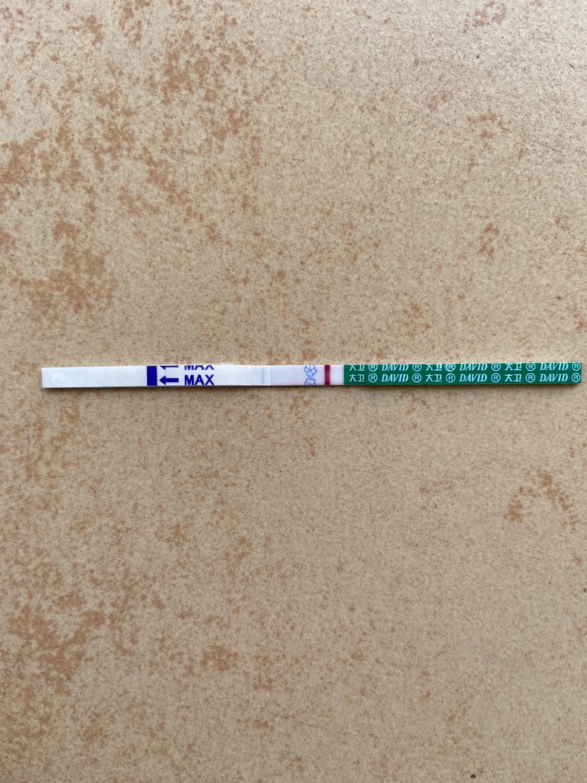 16号早晨测的