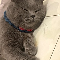 顺其自然吧
