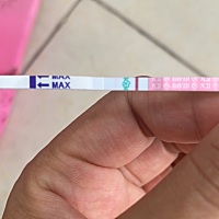 这是是不是不排暖了亲们？