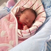 怀孕期间我属于那种闲不住的，因为疫情天天在家没事就是做饭在院子里溜达，家里养的笨鸡老公帮忙喂我偶...