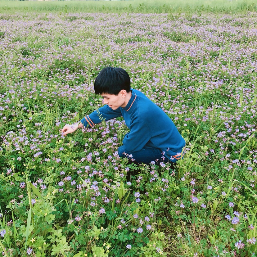 一定要给我菜野花